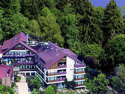 Naturpark-Hotel Ebnisee